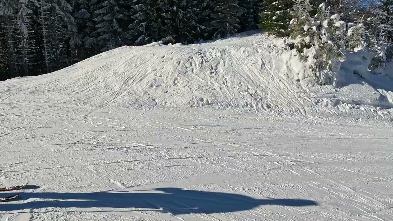 Ski Poiana Brasov   Partia Lupului