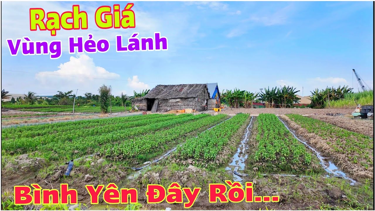 Vùng Hẻo Lánh Rạch Giá - Mộc Mạc, Đơn Sơ Và Yên Bình | Lâm Ái Vlog
