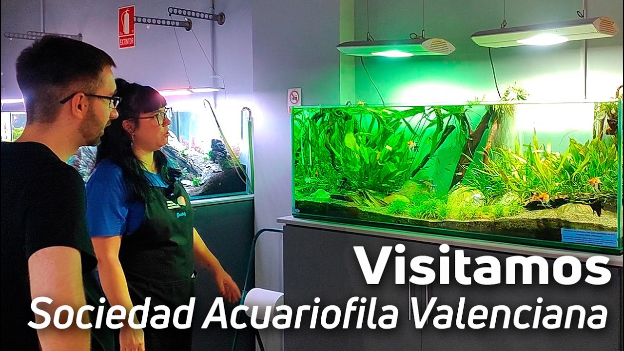 Visitando SOCAV 🐠 | Más de 60 años Haciendo Historia en la Acuariofilia
