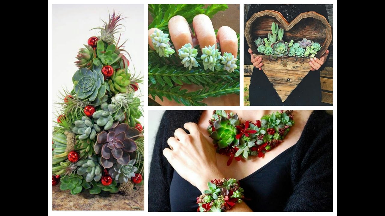 DIY Succulents Crafts Ideas - Amazing Succulent Planting Projects