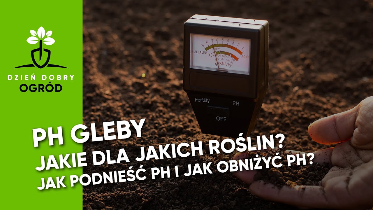 Odczyn pH gleby. Jaki dla jakich roślin? Jak podnieść i jak obniżyć pH?