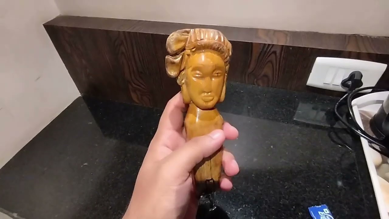 RAJDHANI HOTEL || AGARTALA, TRIPURA