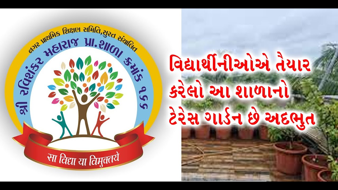 શ્રી રવિશંકર મહારાજ શાળા ક્રમાંક ૧૬૬ | #terracegarden | #Surat #SMC #School