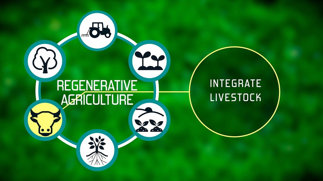 Regenerative Agriculture - Key Principle 5 - Integration of Livestock