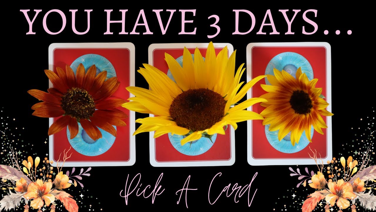 This Will Find You 3 Days Before It Happens ✨ Pick A Card Tarot Reading
