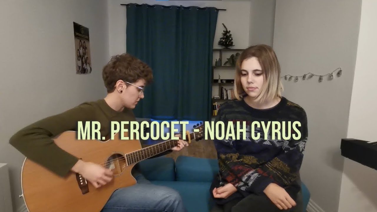 Noah Cyrus - Mr. Percocet cover