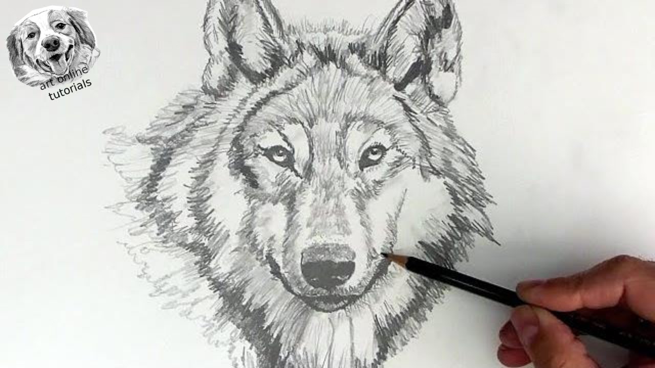 How to Draw a Wolf Face