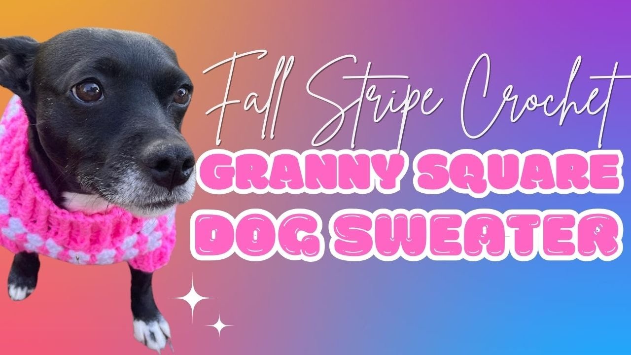 Fall Stripe Granny Square Stitch Sweater for Small-Medium Size Dogs/Cats Tutorial ♡