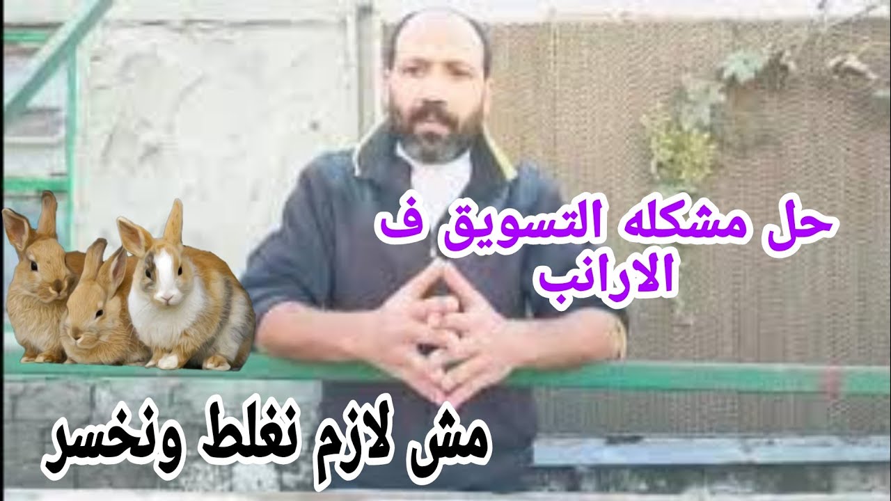 مشكله كبيره ف تسويق الارانب بتخسارنا.