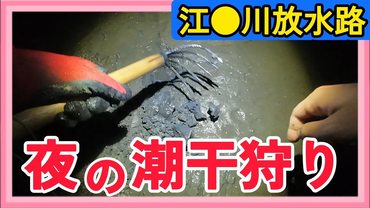 【潮干狩り】真冬の潮干狩りで取れる生き物は？料理コーナーでは●●作りにチャレンジ！🤗