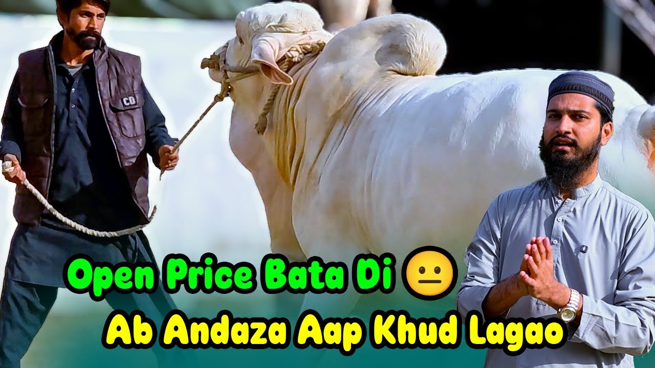 Aaj Ka Rate Sun Ke Hairan Reh Jaoge! Starting Sirf 4.5 Lakh