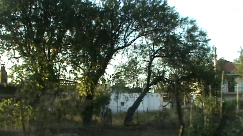 ΘΥΡΙΟ 2011