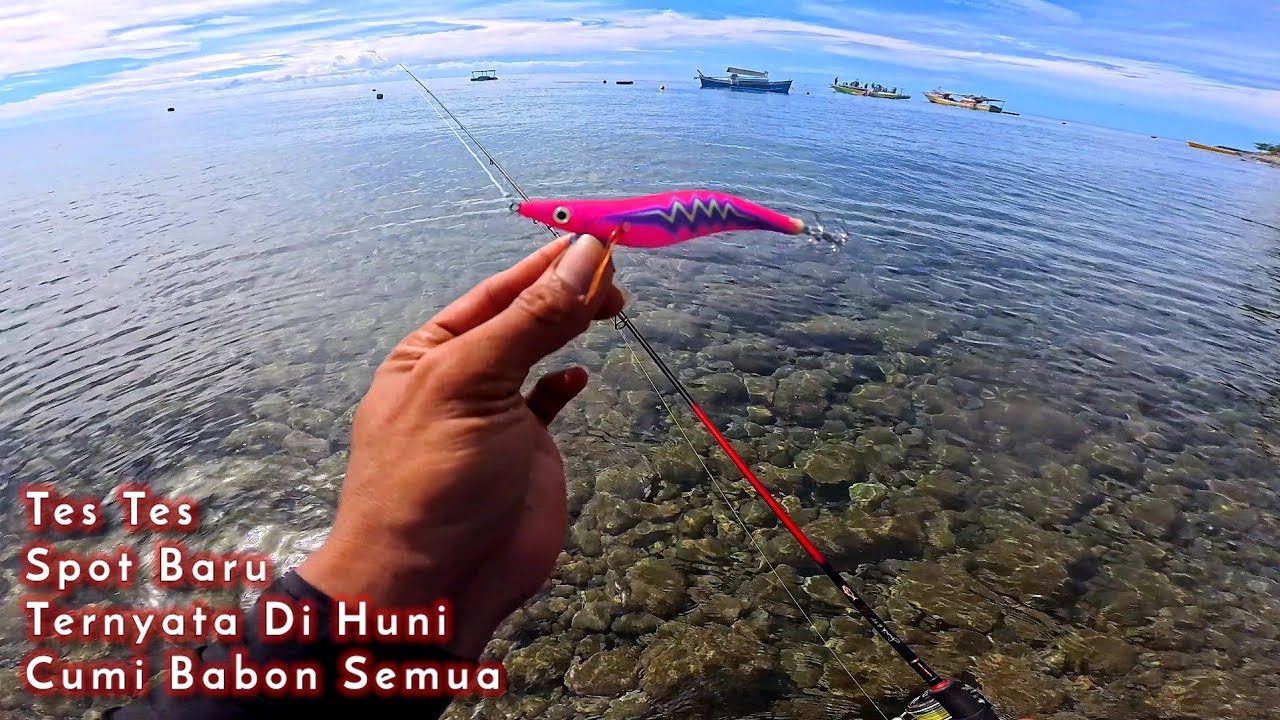 NGERIII...!!! Coba coba spot baru ternyata isinya CUMI BABON Semua || Mancing cumi di pinggiran.