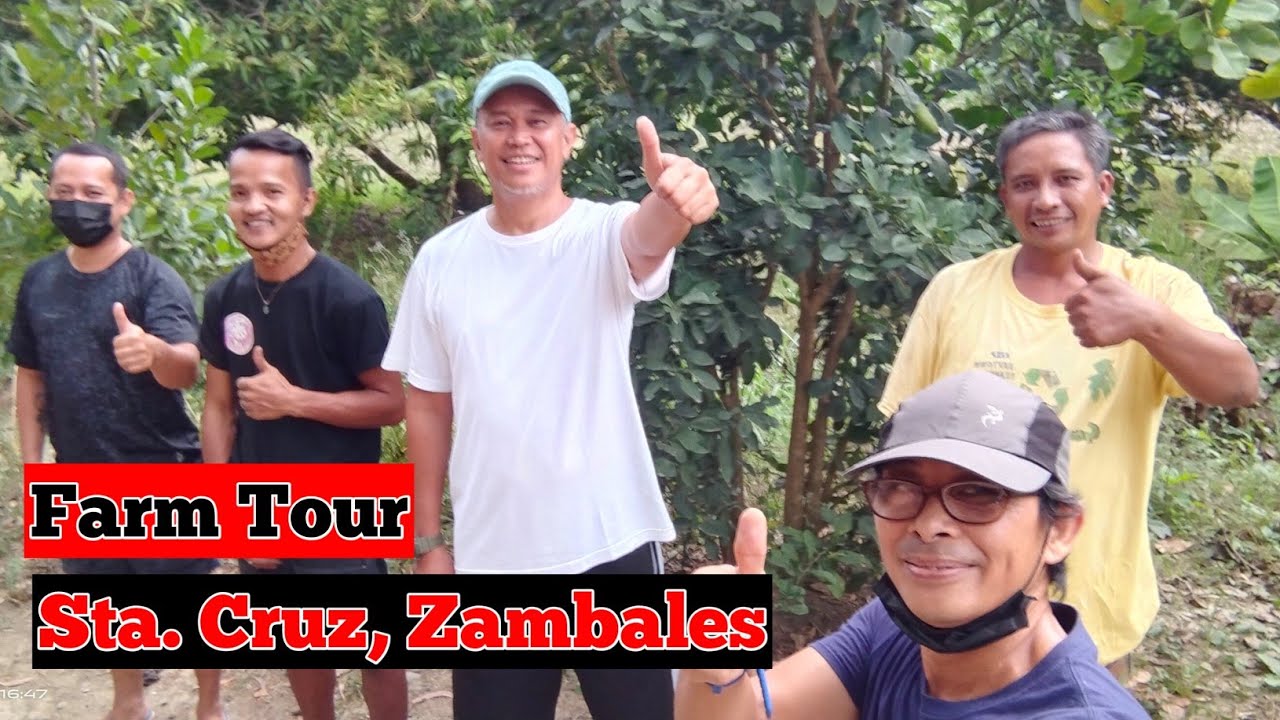 Farm Visit Sta Cruz Zambales