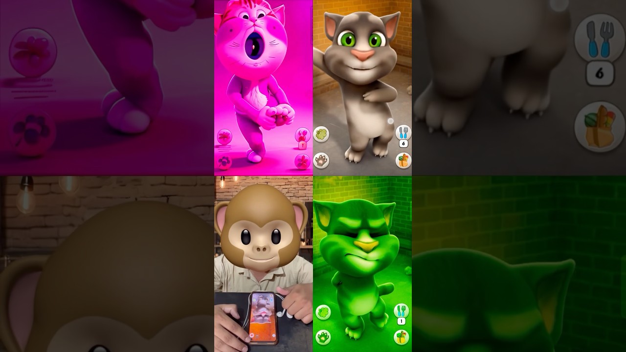 Talking tom cat #shorts 1115