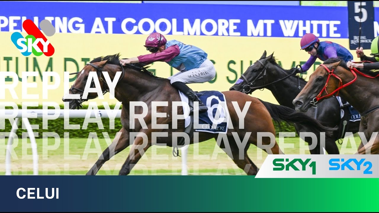 CELUI WINS AT RANDWICK