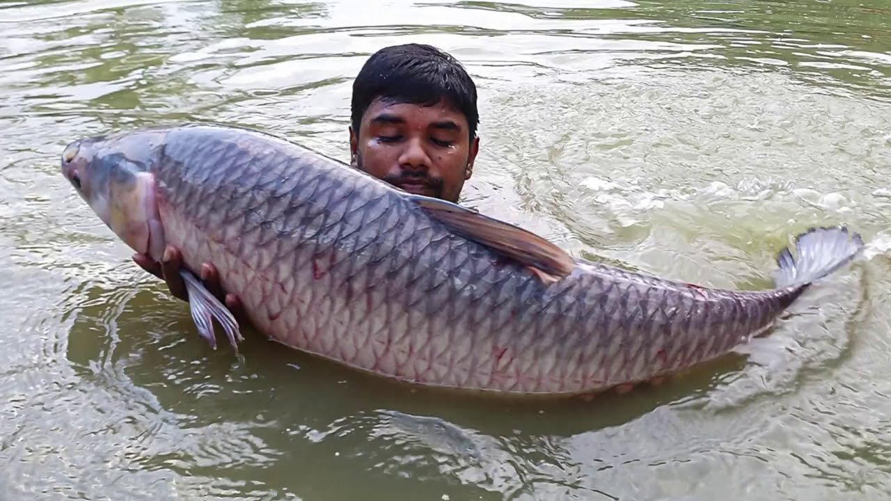 Catch a Lot of Fish With Cast Net  | Net Fishing in Pond