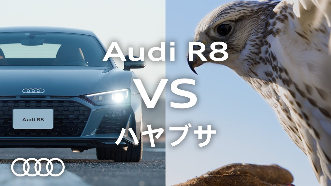 【最速対決】Audiが誇るスーパーカーAudi R8  VS  世界最速の鳥ハヤブサ [Audi Japan Sales]
