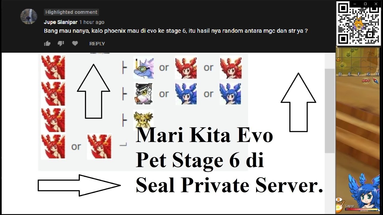 SEAL ONLINE PRIVATE SERVER | EVO PET PHOENIX STAGE 6 | DAPET DAMAGE / MAGIC ?? | INI HASILNYA BRO !!