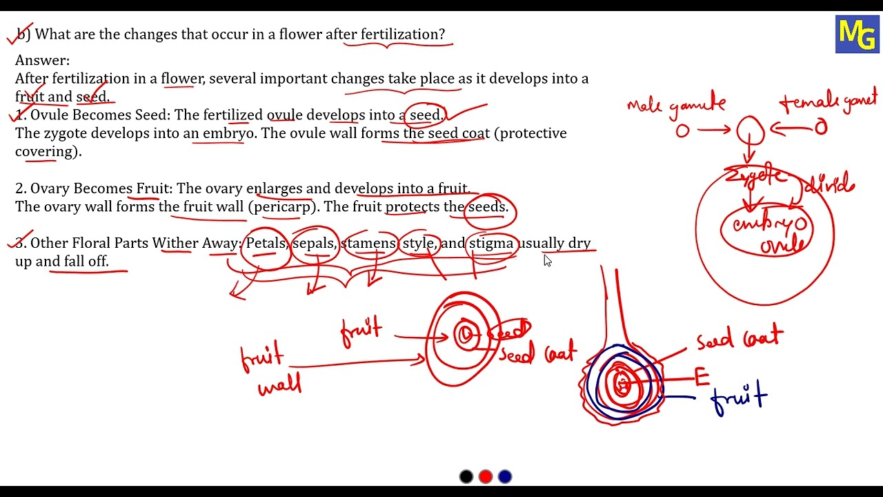 MQP - 3 | Science | 5 Mark Questions | KSEAB | 2025 - 26 | Class 10 | Part C Biology | MCQs | SSLC
