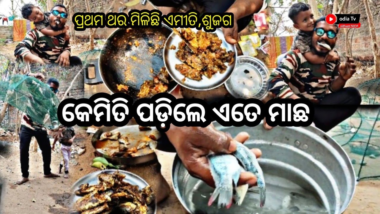 ପ୍ରଥମ ଥର ଅଲ୍ନାଇନୀ ଜାଲ ରେ ଧରିଛି ମାଛ  🐟 odia blog