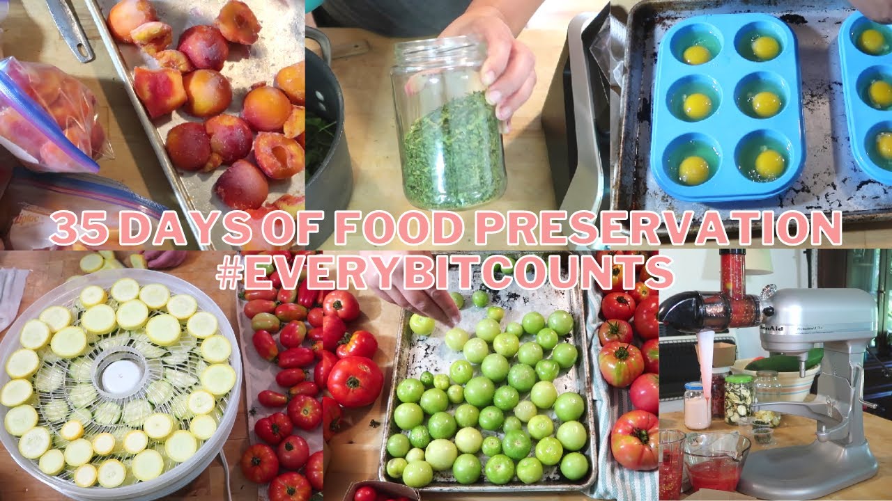 EVERY BIT COUNTS CHALLENGE | August 2022 | #everybitcountschallenge