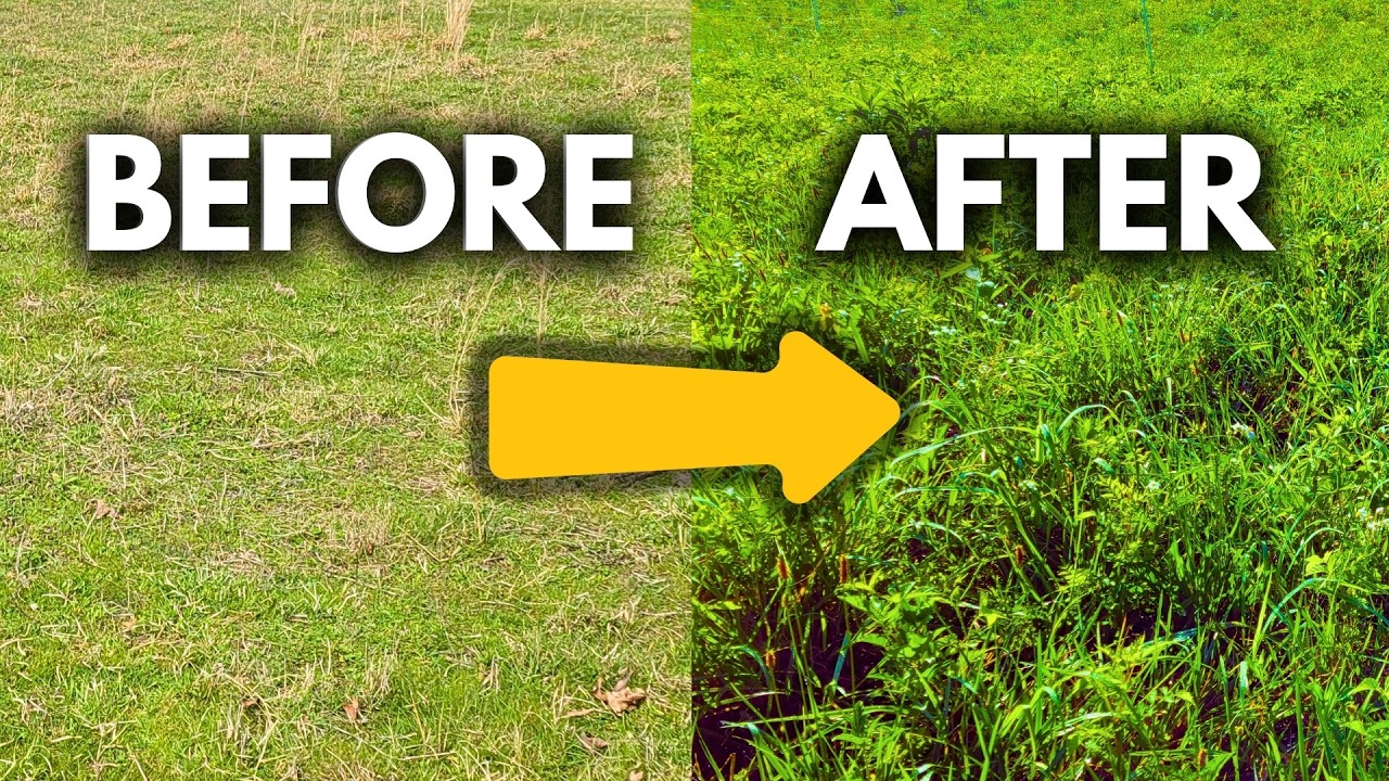 How I Made $500 Worth of Fertilizer&mdash;For Free!