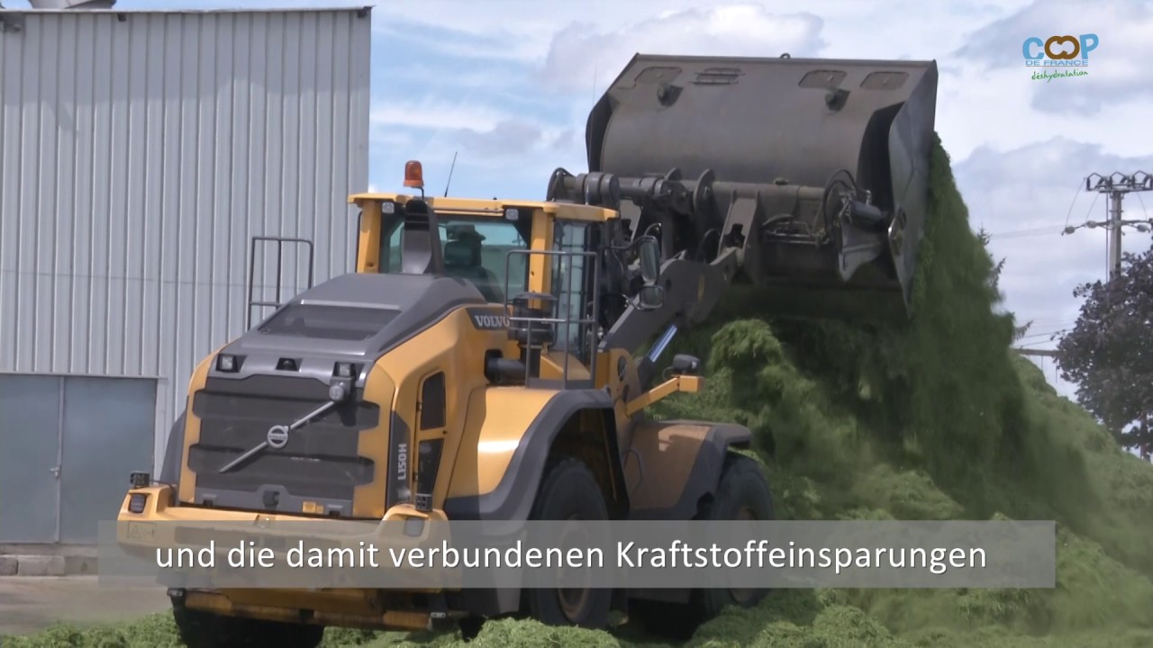 Dehydrierte Luzerne in Frankreich; ein filiere von exellence
