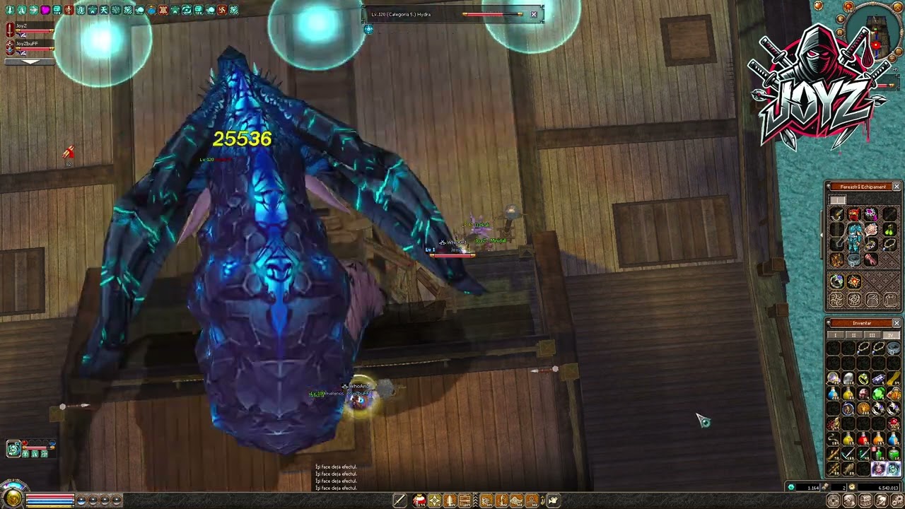 Metin2 - Tara Romaneasca - JoyZ Ninja Lame Solo Hydra