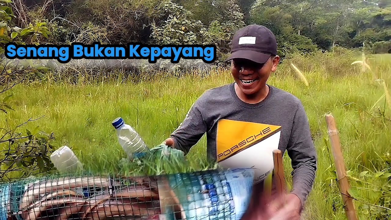 Memasang Bubu Belut Di Sawah Yang Terbengkalai , Hasilnya Tidak Disangka