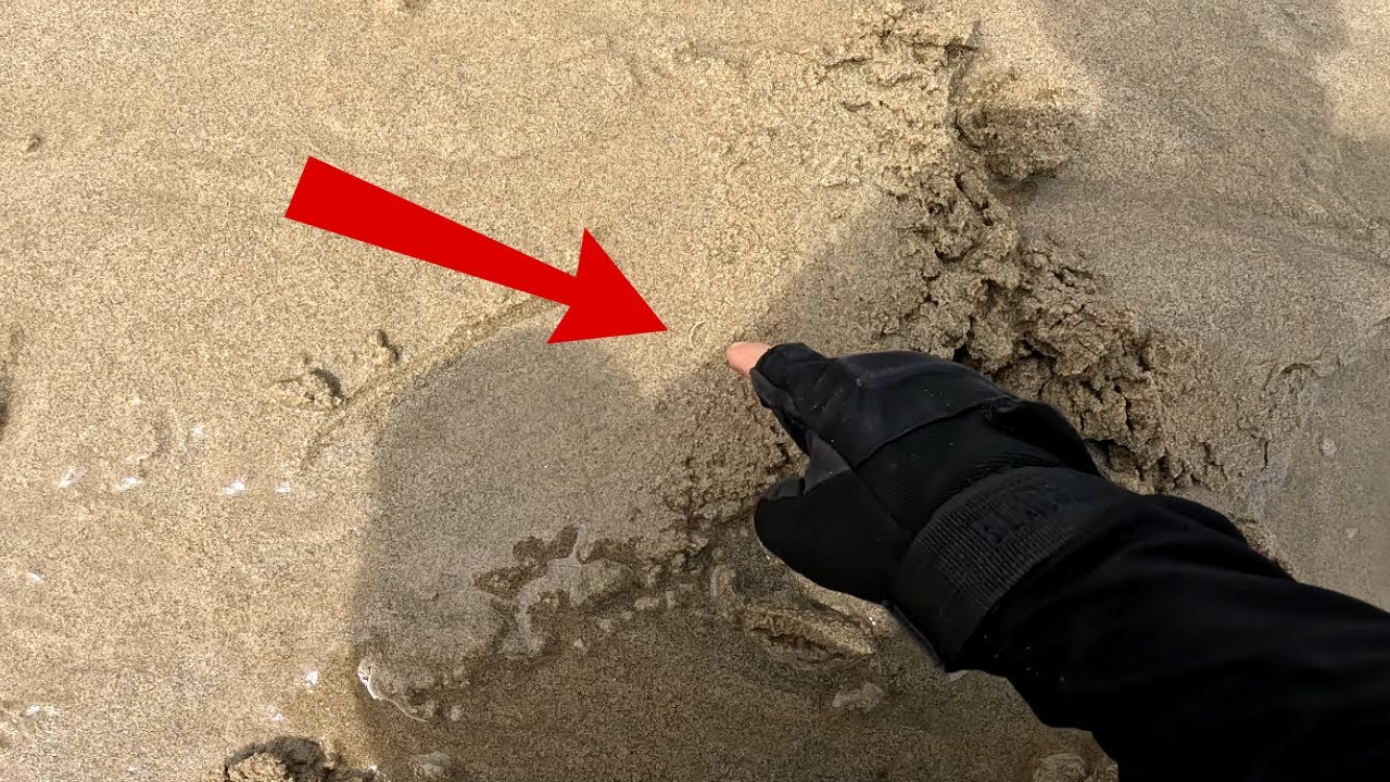 Beach Metal Detecting - What Did The Storm Washup?