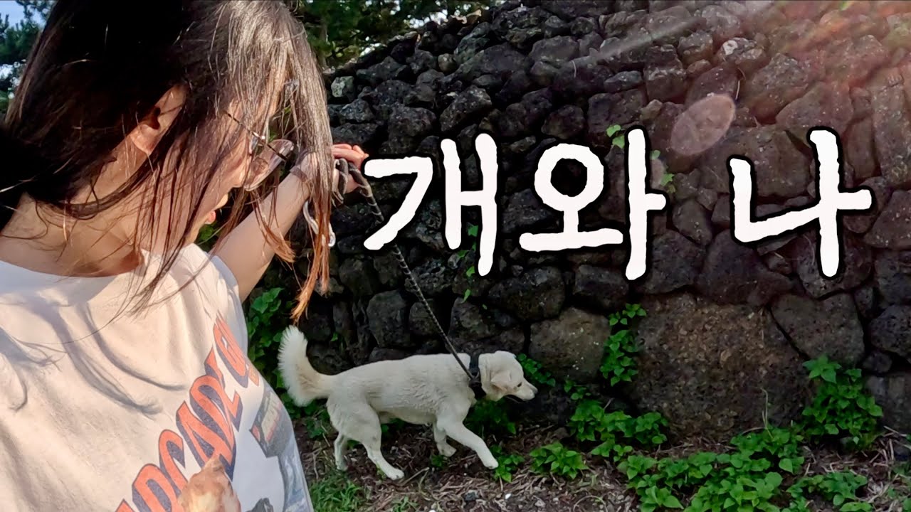 제주도 개 산책. 오디오 꽉 찬 모노드라마 (거의 무편집본)
