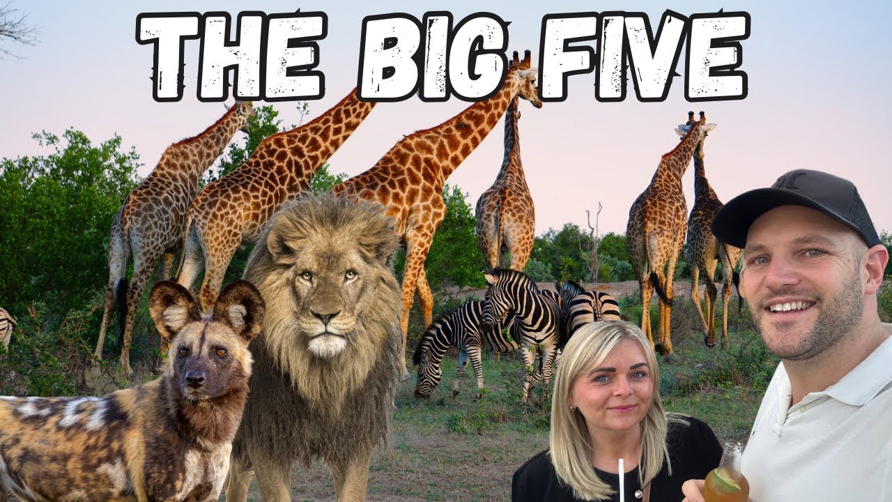 4 night safari South Africa in the Greater Kruger National Park