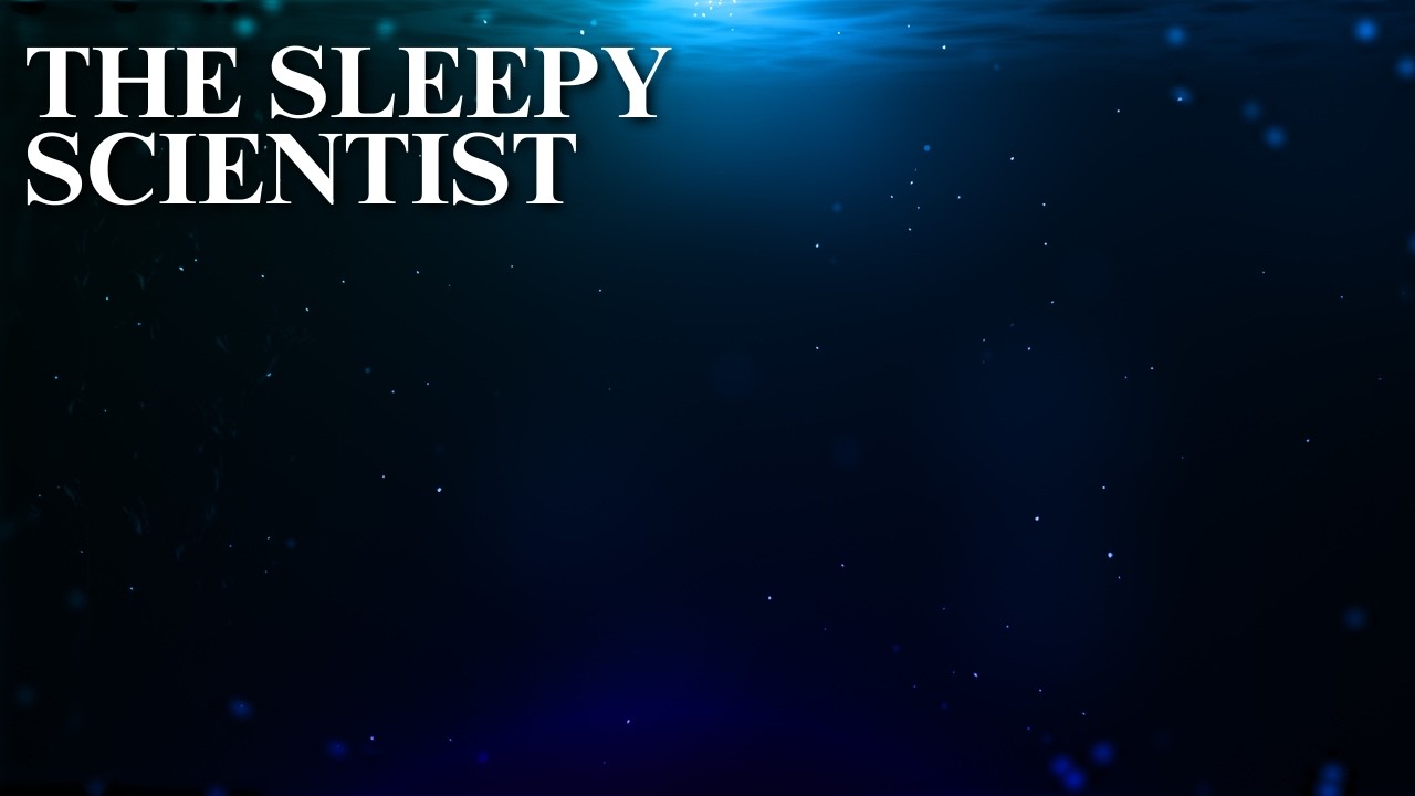 Everything We Know About the Deep Sea | Science for Sleep