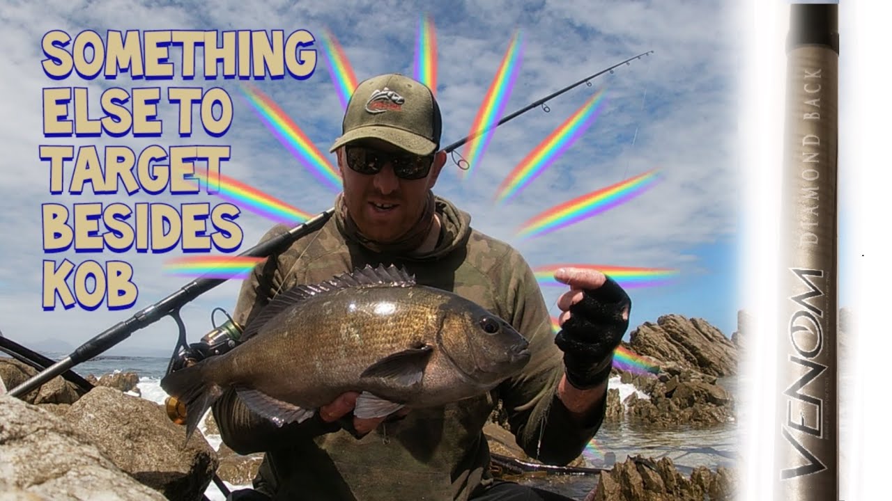 HOW to catch BIG Cape Bream, Hottentot from the side I Tackle & Tips