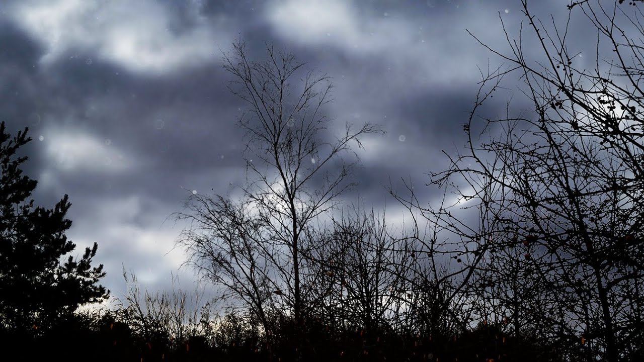 Solstice (Excerpt) | Modern Celtic Folk