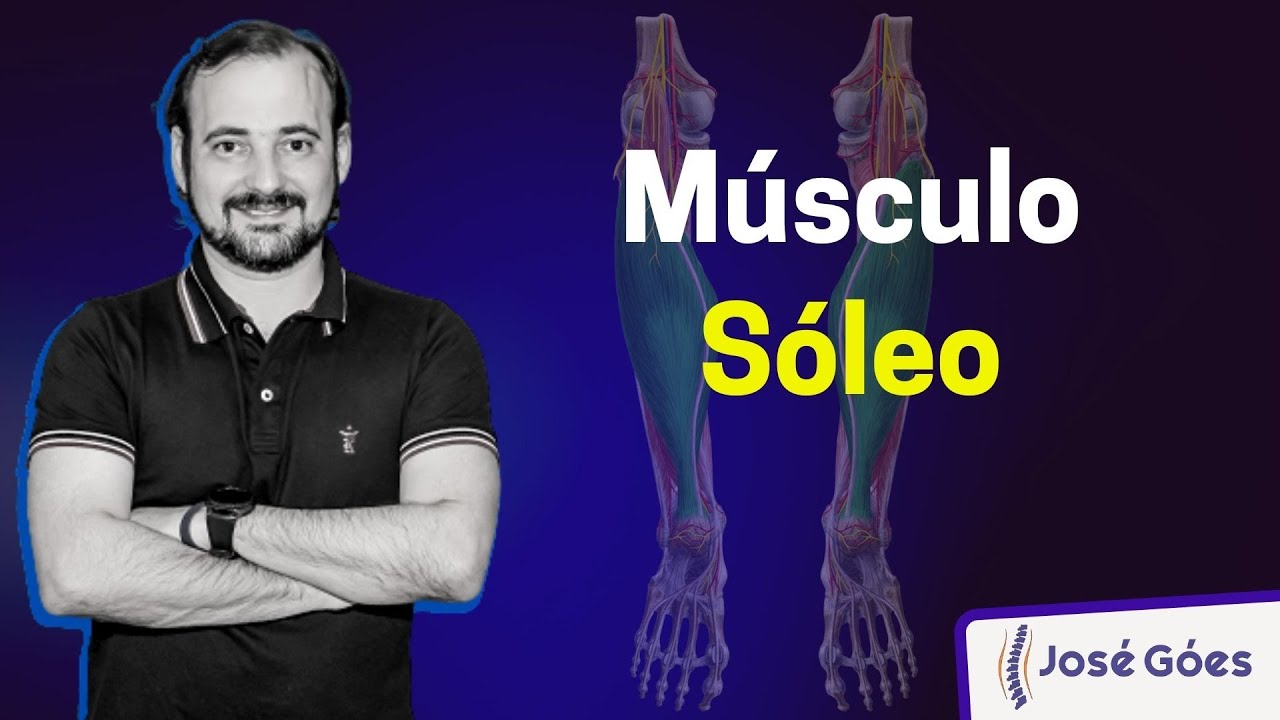 Músculo Sóleo | José Góes