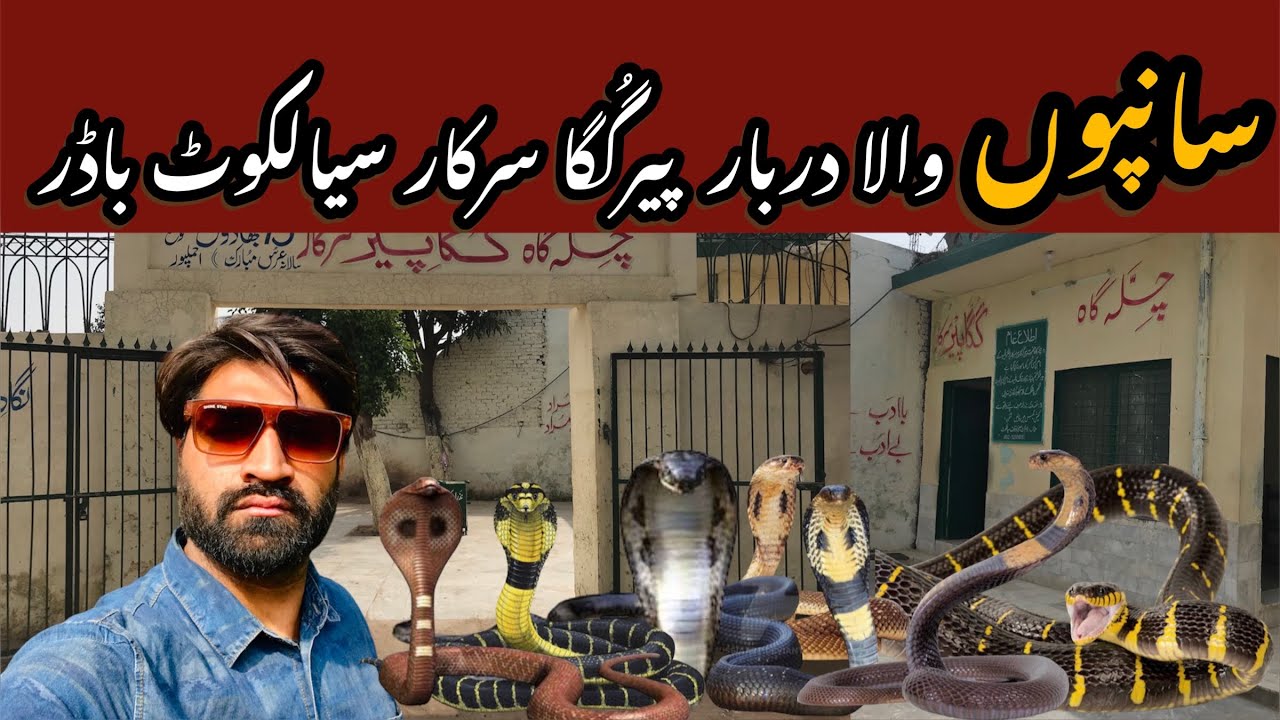 A shrine in Sialkot where snakes come to pay their respects | Zinda Karamat Peer Ghuga Sarkar