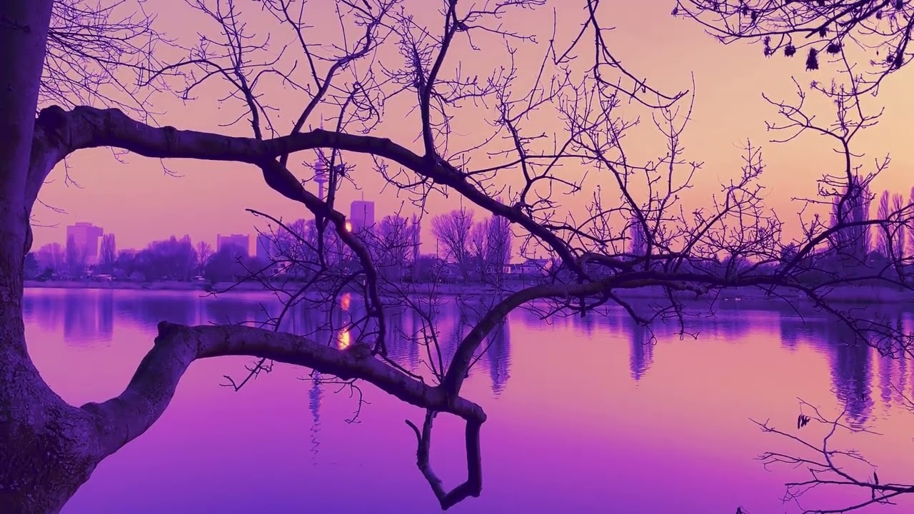 Relax Nature | Make Your Soul Rest🔅 | Chilling Time🔆 | Restart 🔅