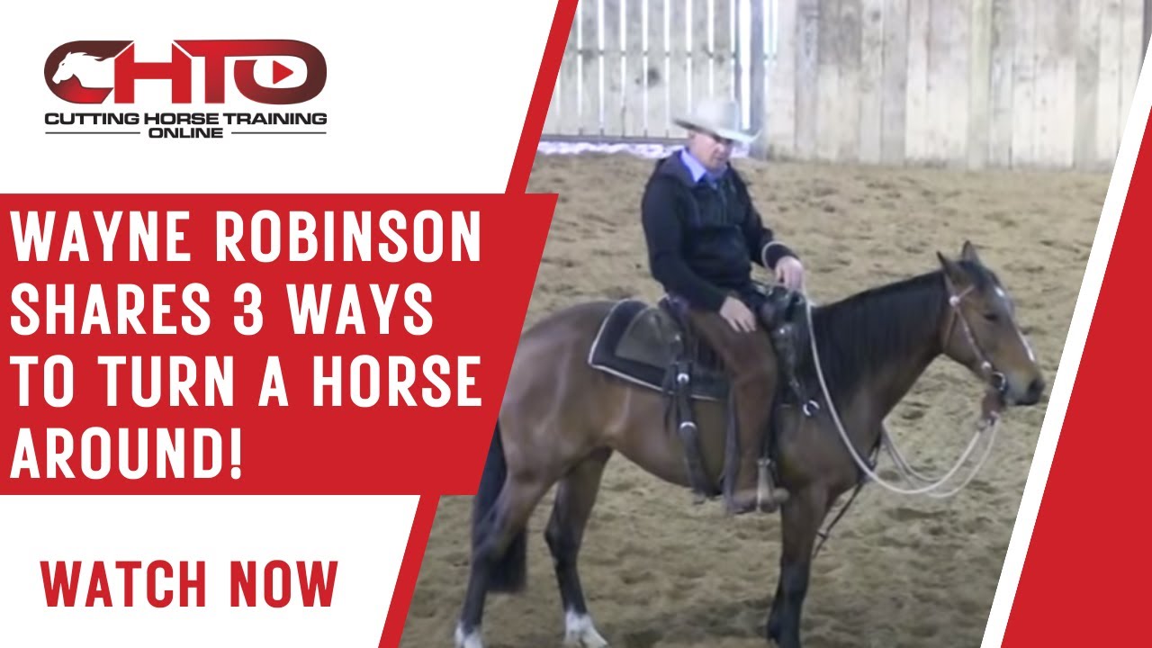 Wayne Robinson Shares 3 Ways To Turn A Horse Around!