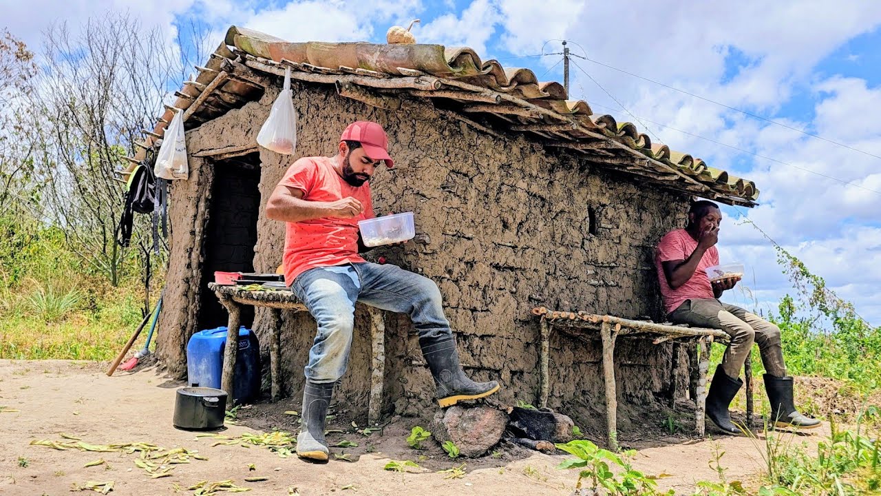 COZINHANDO FAVA NO FOGÃO A LENHA VIDA SIMPLES NO SERTÃO 🙏
