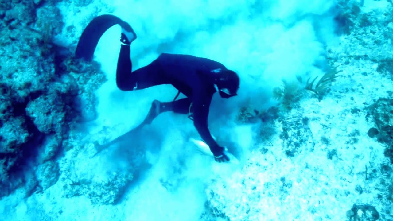Spearfishing Great Harbour with a Guerrilla Sling | GoPro HD 2015