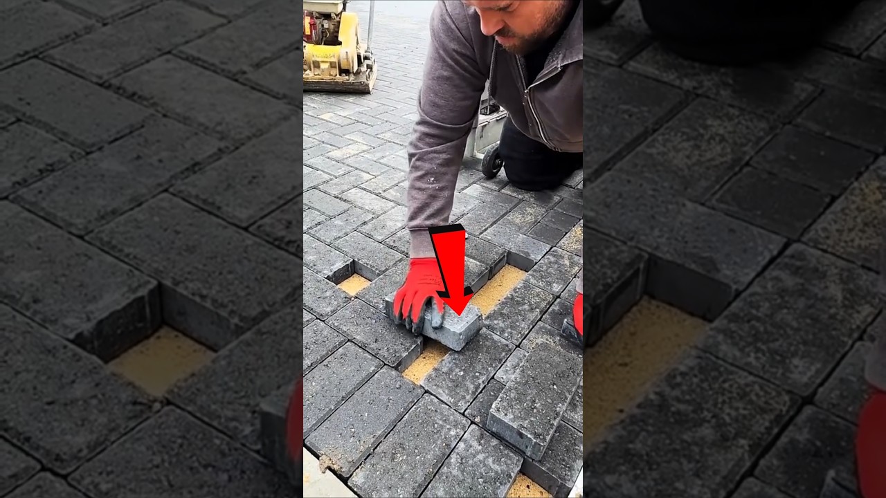 Mistry was challenged to lay bricks #shortvideo