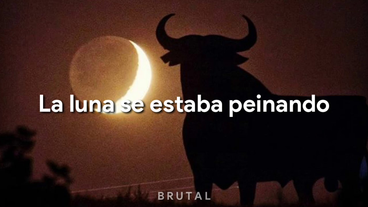 EL TORO ENAMORADO DE LA LUNA
