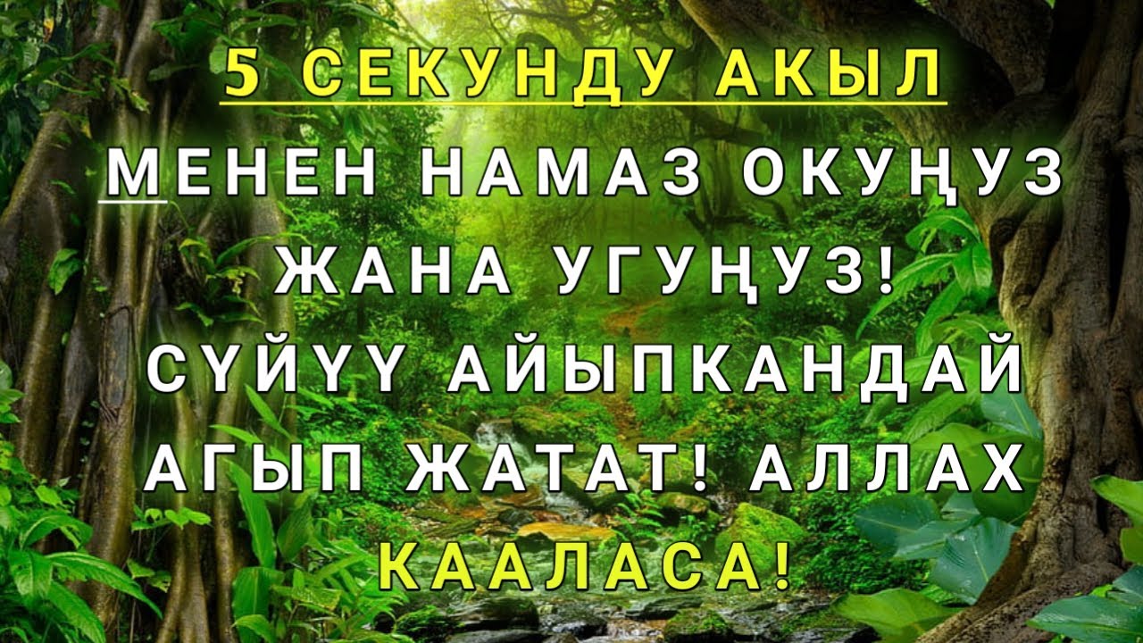 Ушбу дуони тинглаб Аллохдан ихлос билан сўранг СИЗ КУТМАГАН ЖОЙДАН БОЙЛИК ОҚИБ КЕЛАДИ ИН ШАА АЛЛОХ.