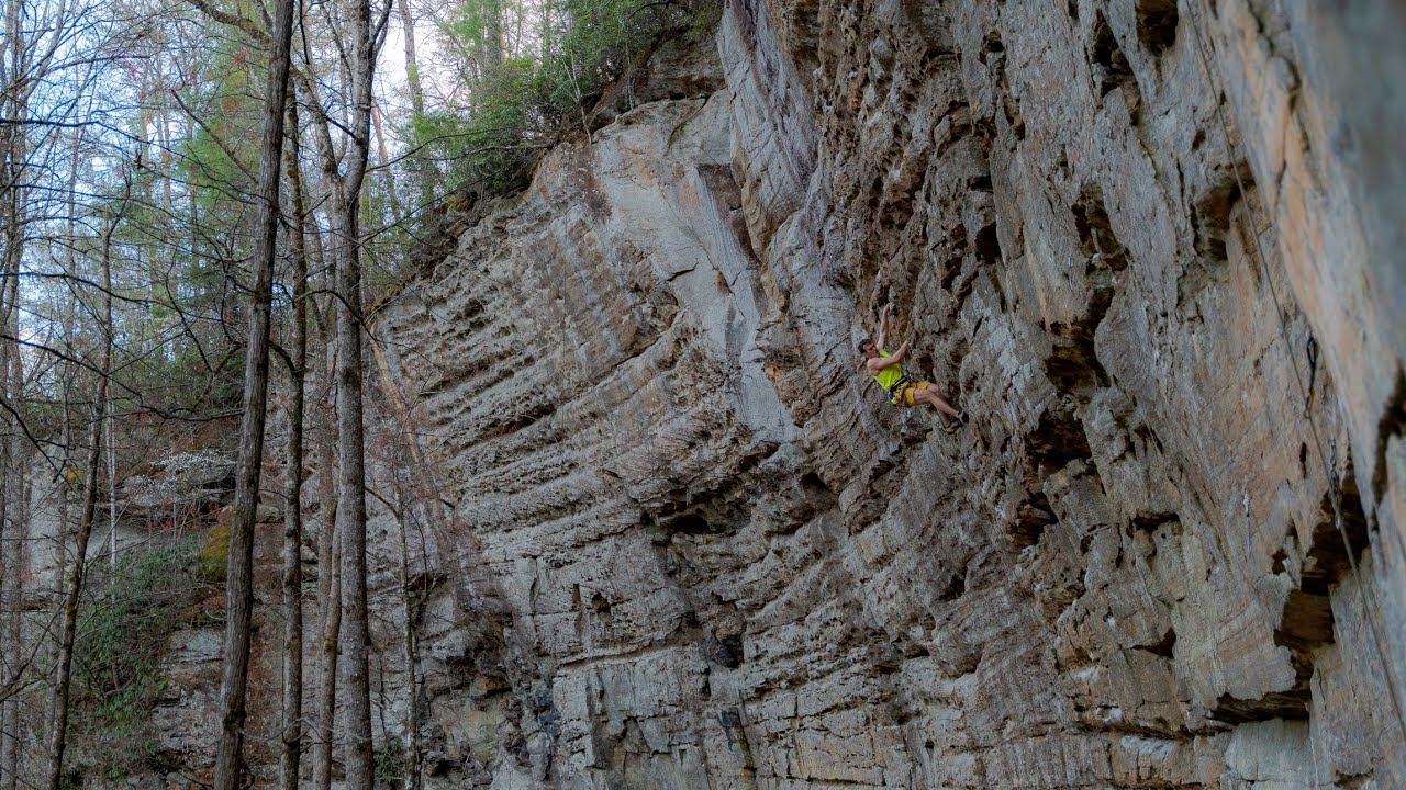 Witness the Citrus 5.11c Onsight Red River Gorge 3.30.24 - Jonah