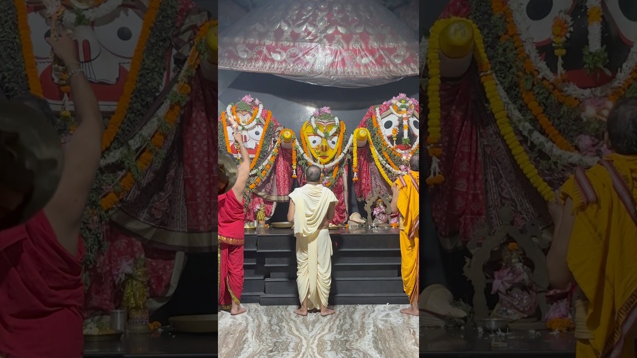 Jay Jagannath 🙏🏻✨|| Jagannath dham puri || #shorts #shortvideo #shortsfeed #jagannath #puri