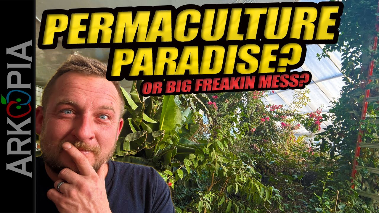 🌱Пермакультурный рай ИЛИ заброшенная теплица? (Или одно и то же?)