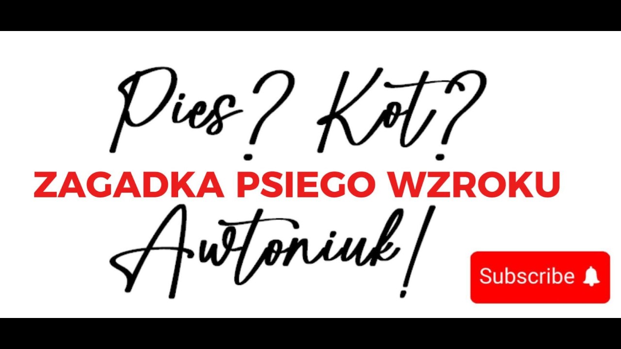 Jakie kolory widzą psy, dlaczego psie oczy świecą w nocy i czy ubierać psy, odc. 7 (2/2026)