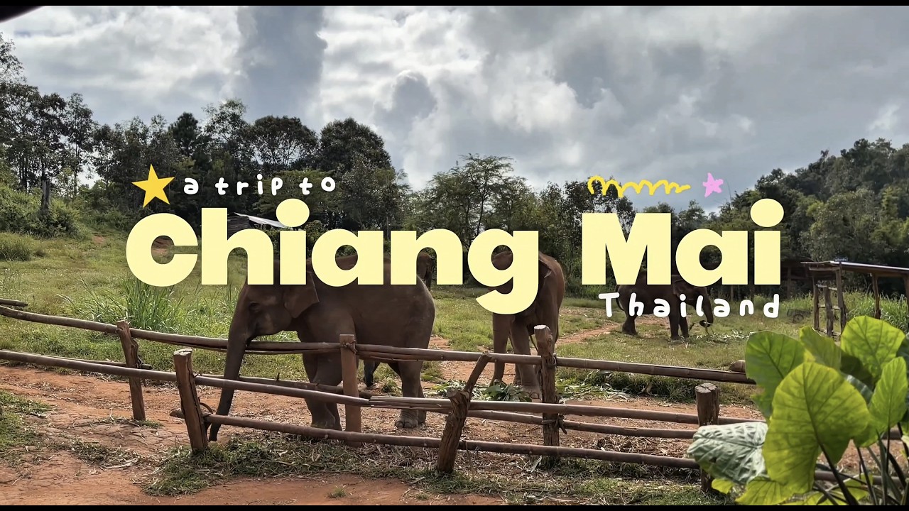 Why Chiang Mai is UNFORGETTABLE | Thailand Travel Diary